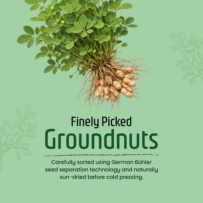 Groundnut Oil